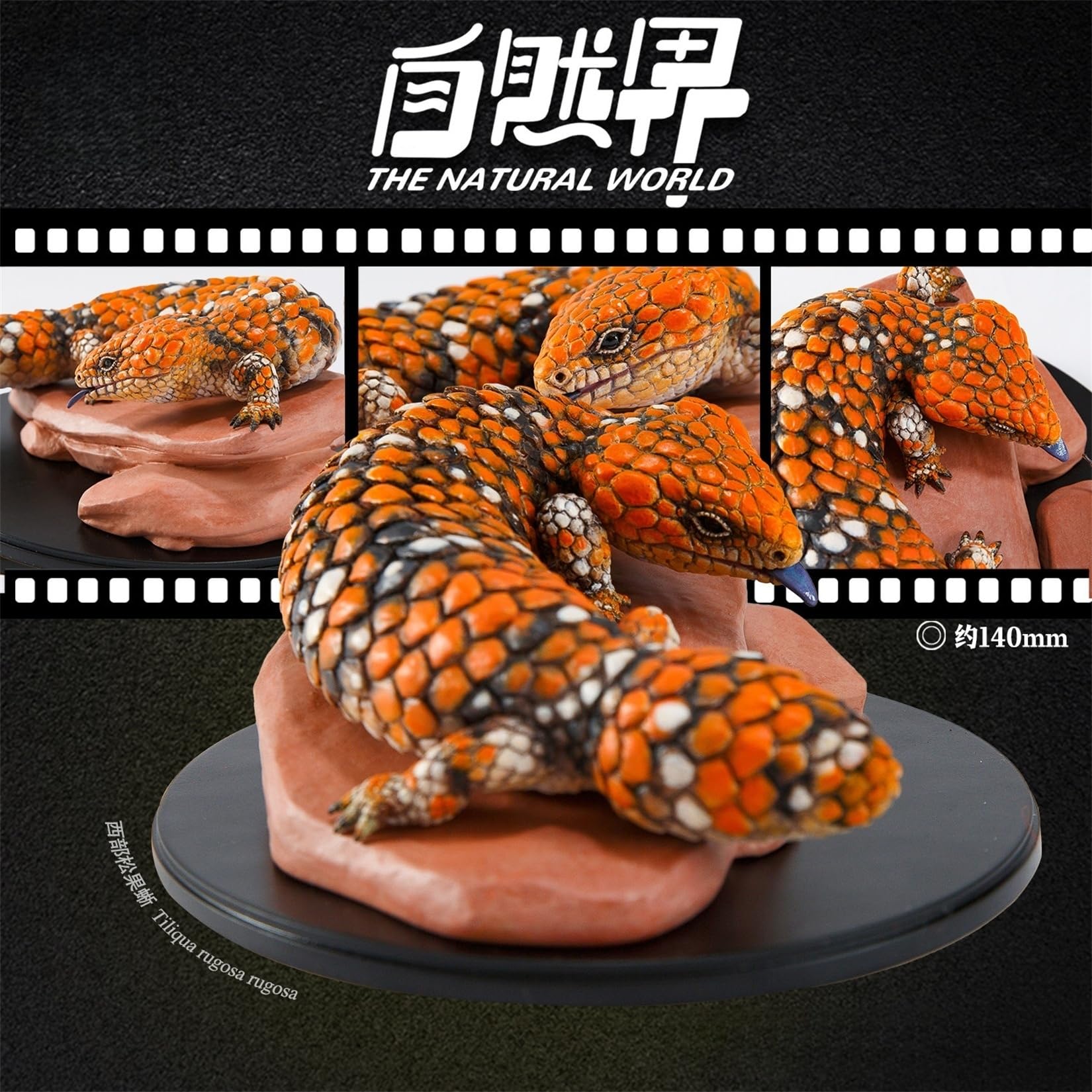 Amazon.co.jp: 動物惑星 マツカサトカゲ 14CM 樹脂 フィギュア 台座